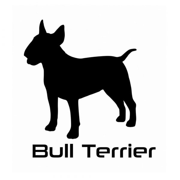 Billabone Bull Terrier